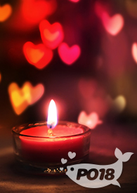 似即若离（百合abo)